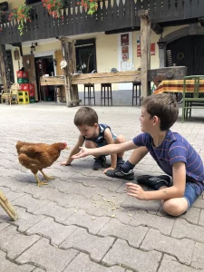 Niños y animales